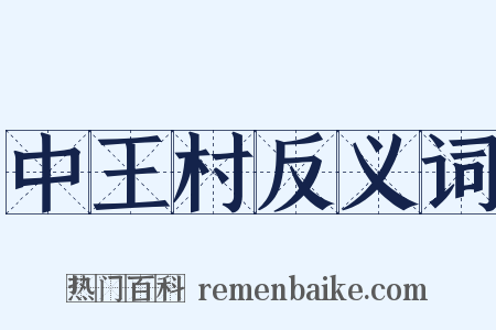 中王村反义词是什么意思的图片